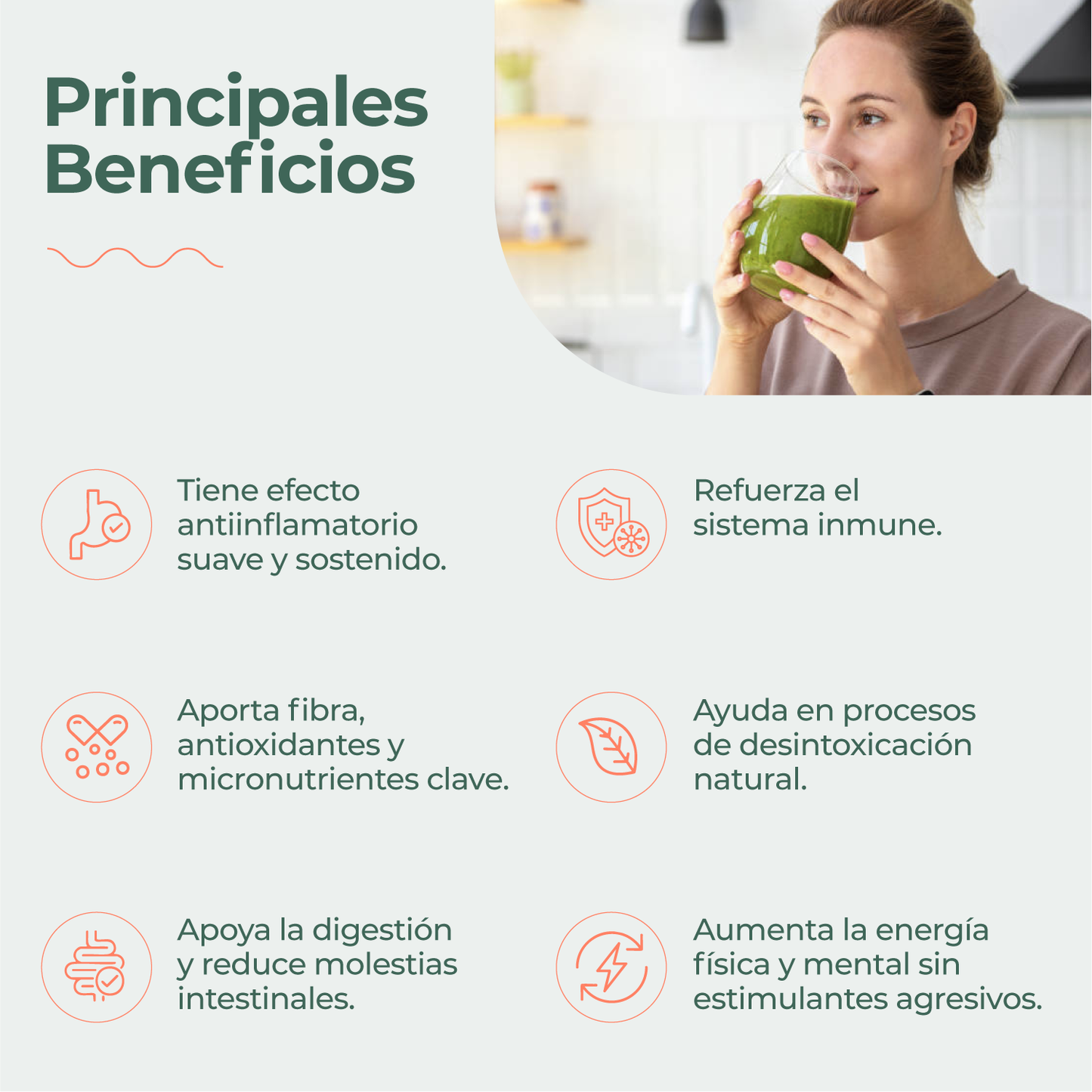 FRUVER Extractos de Frutas y Verduras en polvo 100% natural